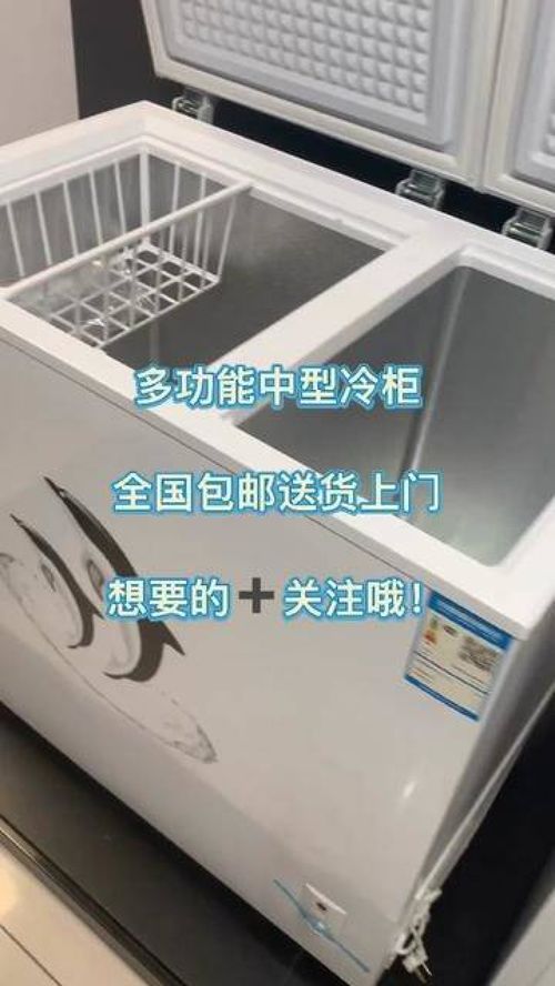 源头工厂 冰柜 冷柜 厂家生产 家用电器 工厂自产自销